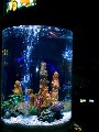 epcot2fishtank.jpg